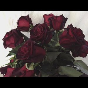 Meet your Posher, Caitlin